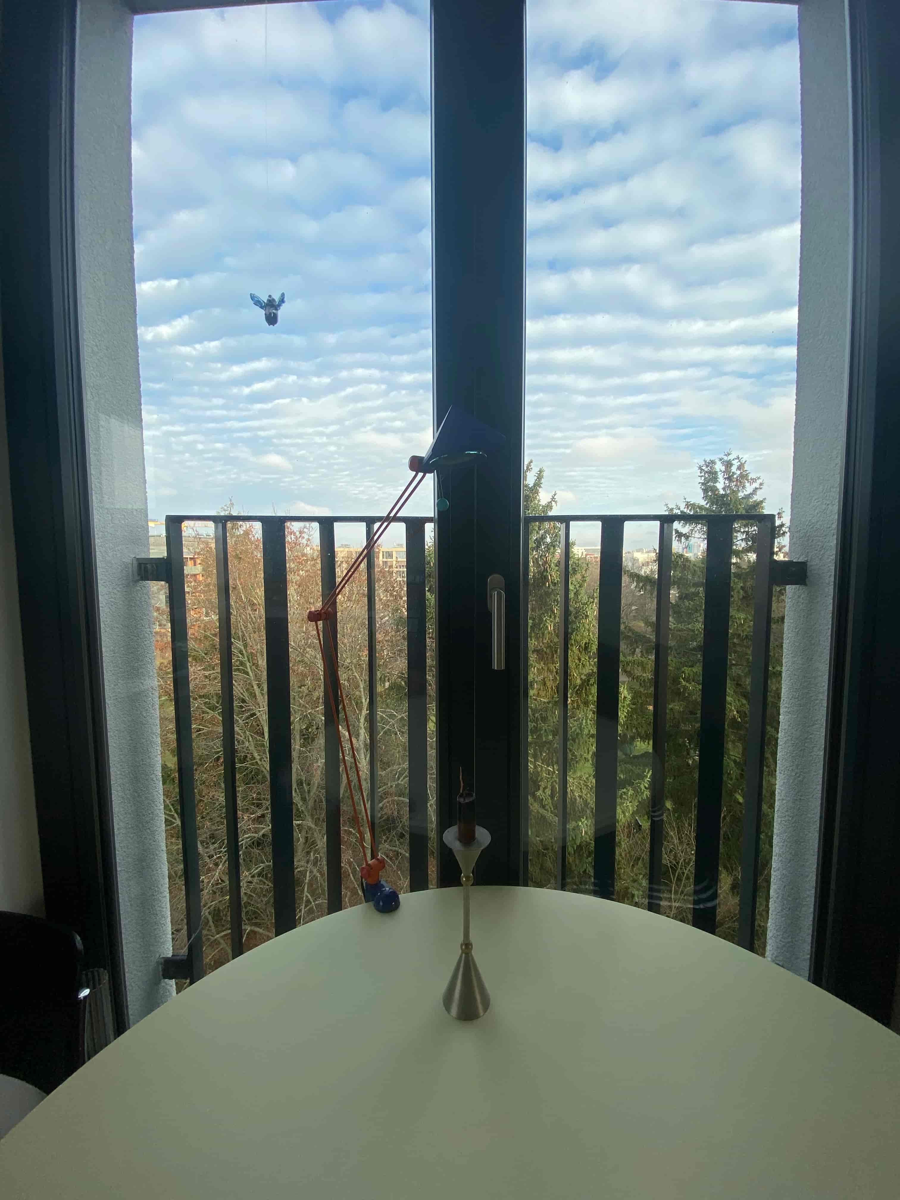 153 – Ribecka's Red