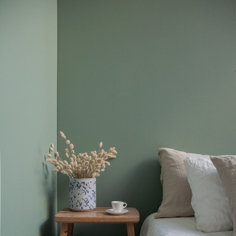 Måla vägg inomhus: här i en mörkgrön nyans med en beige soffa och blomvass  | Klint